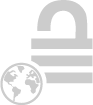 Grey globe and padlock icon